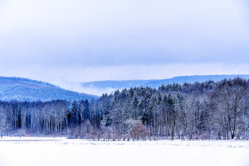 Winter Wonderland Katzenbuckel Germany