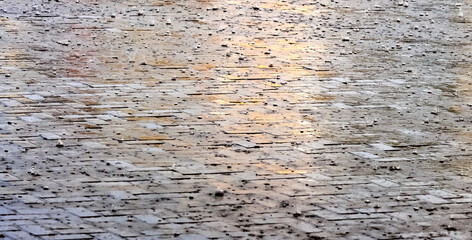 Wet paving stones in the city during the rain