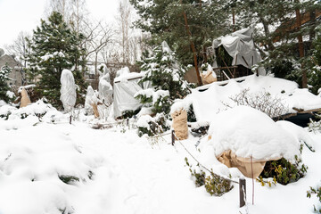 Winter protection for the garden, winter shelter for garden plants, shelter for rhododendrons, shelter for trees in the cold, shelter for evergreen trees in the winter in the park. Gardening and care.