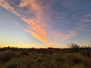 sunset over the field