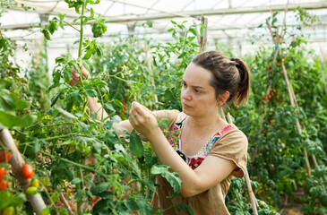 Portrait of positive female farmer engaged in cultivation of plants in hothouse