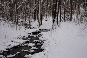 Schnee in Sachsen