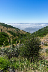 Fototapeta na wymiar High altitude hills with cloud cover below, Madeira Island
