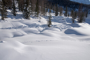 Fototapeta na wymiar un bel panorama innevato di montagna, le dolomiti coperte dalla neve