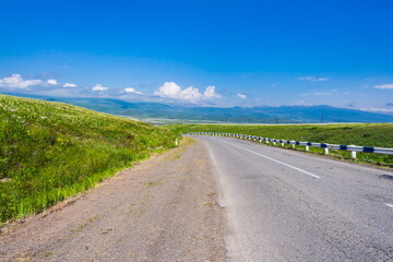 road in the middle of blooming green meadows in Armenia