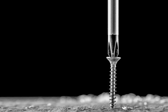 The screw and screwdriver close up on black background. Joinery and construction work. Monochrome photo.