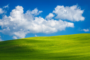 Green fields landscape with blue sky and clouds