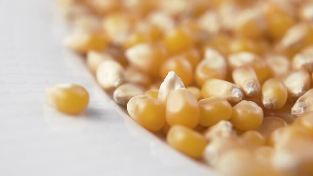 Slow Motion Pour uncooked corn seeds into a white popcorn bowl. Macro shot. Dolly shot.