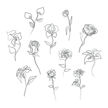 Flowers set, rose, continuous line drawing, tattoo, print for clothes and logo design, decorative flower silhouette single line on a white background, isolated vector illustration.