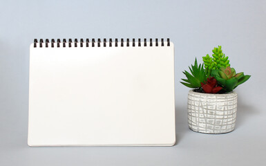 Close-up white page of notepad and pot of succulents on blue background