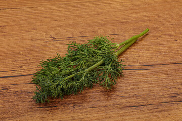 Aroma seasoning - Green Dill branch