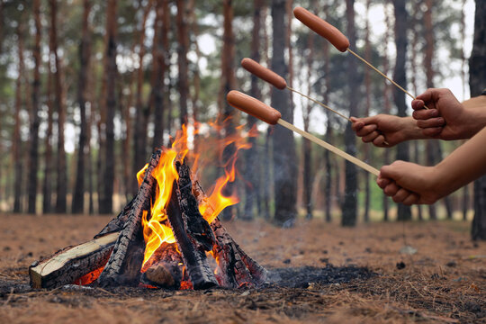People roasting sausages over burning firewood in forest, closeup