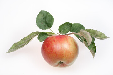 Ripe red and yellow apple with leaves on a white background
