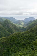 Naklejka na ściany i meble Mountain rainforest Valley view from Balcoes Levada, Madeira Island