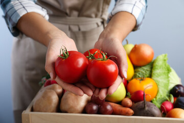 Farmer holding fresh ripe tomatoes on blue background, closeup. Harvesting time
