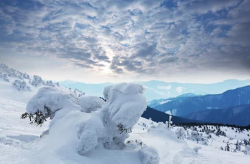 Foto op Canvas Winter mountains © Galyna Andrushko