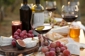 Red wine and snacks served for picnic on wooden table outdoors, closeup