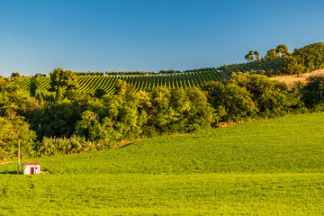 Beautiful sunrise in the countryside of Marche in a summer morning