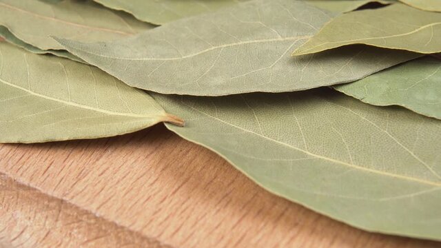 Seasoning bay leaf on a wooden surface macro shot. Dolly. Close up. Bay Laurel Laurus Nobilis