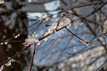 Matzingen im Thurgau vesinkt im Schnee