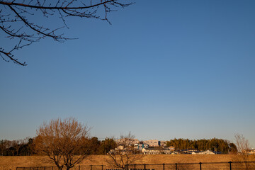 夕暮れ時に黄金に輝く街並み