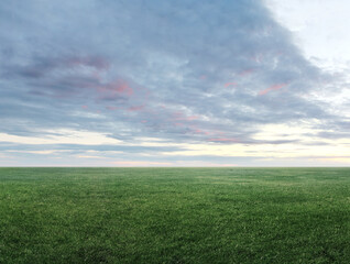 Fototapeta na wymiar Image of green grass field and cloudy sky