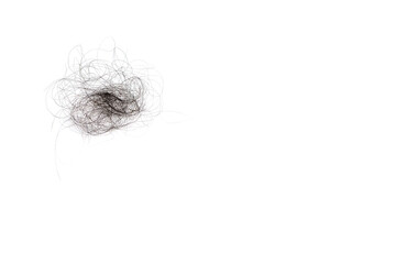 Hair loss, hair fall everyday serious problem, on white background.