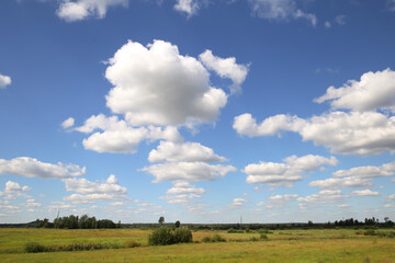 Beautiful summer landscape. Green field. White clouds against the blue sky.