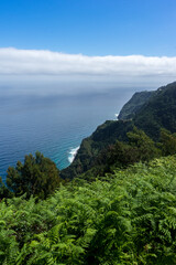 Fototapeta na wymiar Lush mountain Viewpoint onto the atlantic ocean, Madeira Island