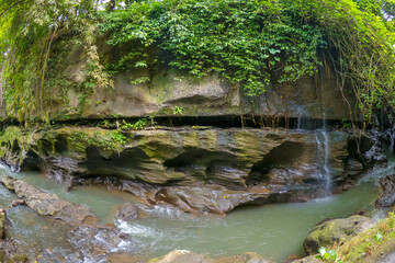 Naklejka na ściany i meble River flowing through jungle at the Hidden Canyon Beji Guwang