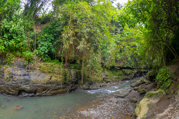 River flowing through jungle at  the Hidden Canyon Beji Guwang