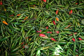 Indonesia Bali Negara - Pasar Umum Negara - State Public Market  - Mixed chili peppers