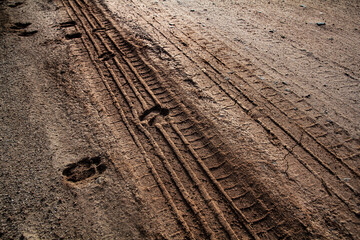 Tyre track on dirt sand or mud, Picture in retro or grunge tone. Car drive on sand. off road track. Track on grass field. Track in farm.