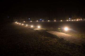 Fototapeta premium Trees and street lamps on a quiet foggy night. Foggy misty evening lamps in empty road.