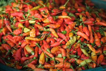 Indonesia Bali Negara - Pasar Umum Negara - State Public Market - Mixed chili peppers