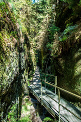 Wandern im Elbsandsteingebirge
