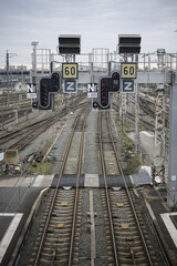 Naklejka premium Les rails