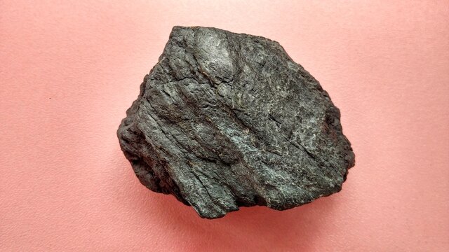 Phyllite of metamorphic rock on pink background. From Melange zone in Karangsambung Central Java Indonesia. Perfect for study description about rocks and minerals. Geological exploration.