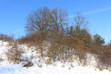 Zimowy krajobraz © SZYMON