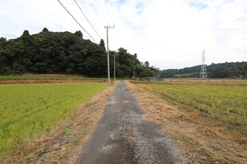 直線道路