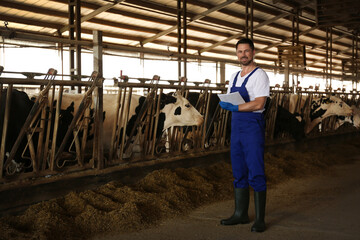 Naklejka na ściany i meble Worker with notes in cowshed on farm. Animal husbandry