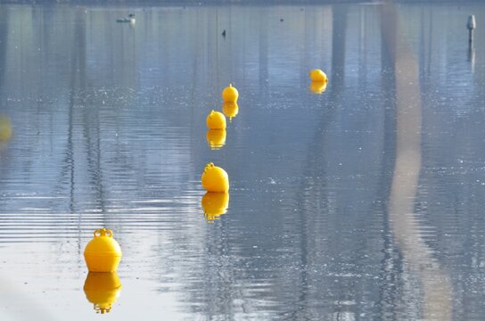 Close-up Of Yellow Balloons In Sea Against Sky