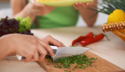 Close-up of human hands cooking vegetables salad in kitchen. Healthy meal and vegetarian concept