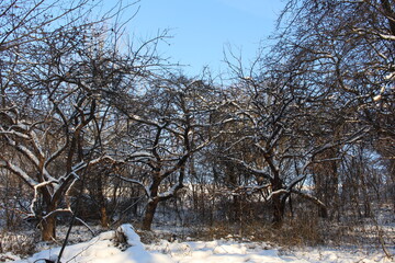 Zimowy krajobraz © SZYMON