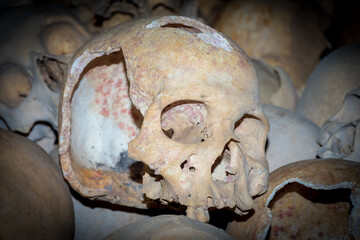 Skulls in cannibal skull cave in Papua New Guinea 