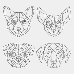 Abstract polygonal head chihuahua, corgi, pug, labrador. Set geometric linear dogs. Vector.	

