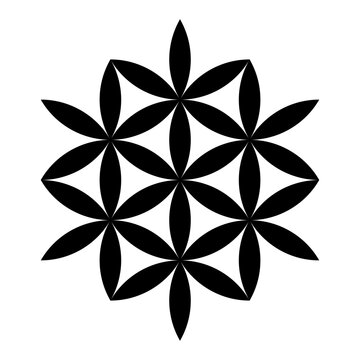 Seven stars, made from vesica piscis lens shapes. Six flower-like stars, with interlocking petals, make a seventh star. This symbol can also be derived from the flower of life. Illustration. Vector.