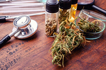 Medical Marijuana in Cannabis Flower Before The Harvest Concept of herbal alternative medicine, cbd...
