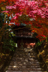 滋賀-比叡山【紅葉】