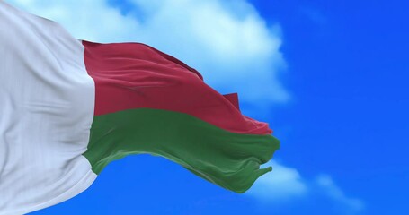 Seamless loop of Madagascar flag.	